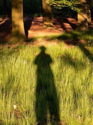 Self portrait in umbris